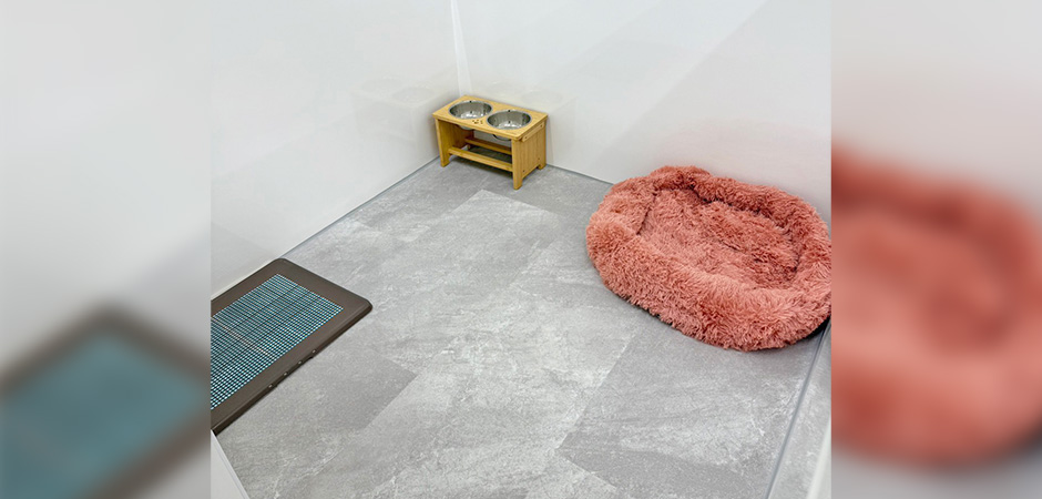 ワンルーク浪速区桜川店のペットホテル