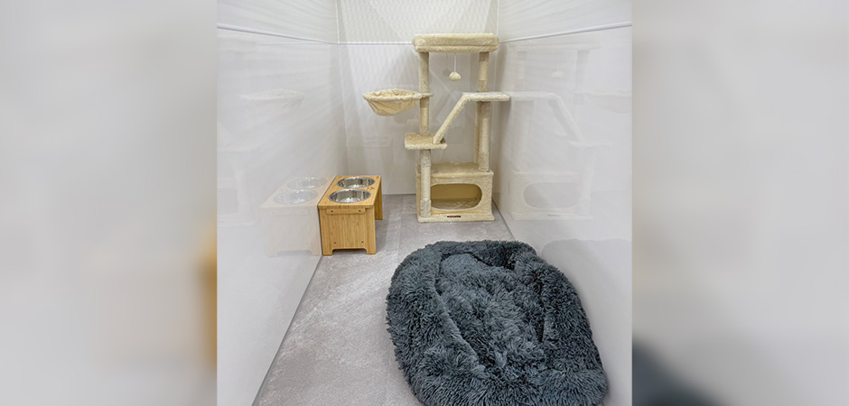 ワンルーク浪速区桜川店のペットホテル