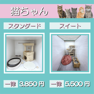ペットホテル 猫ちゃん スタンダード 一律￥3,850 スイート 一律￥5,500