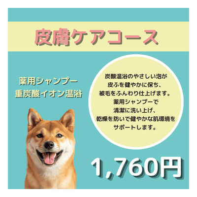 皮膚ケアコース 薬用シャンプー＋重炭酸イオン温浴 1,760円