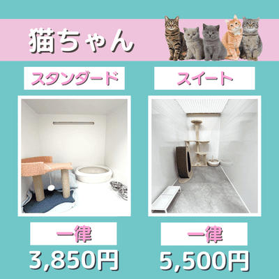 ペットホテル 猫ちゃん スタンダード 一律￥3,850 スイート 一律￥5,500