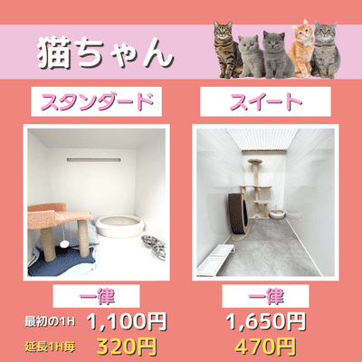 ペットホテル 猫ちゃん スタンダード 一律￥1,100  延長￥320 スイート 一律￥1,650  延長￥470