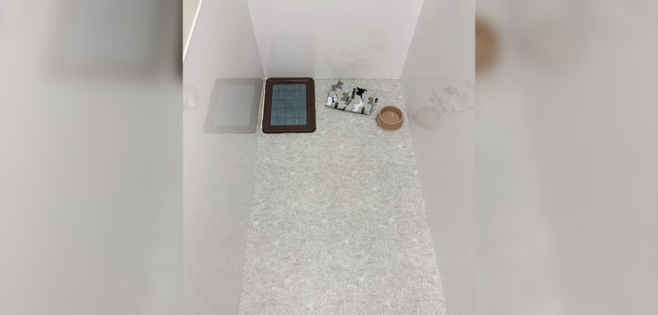 ワンルーク世田谷区笹塚店のペットホテル