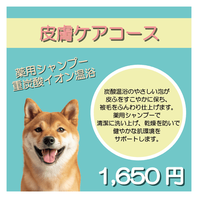 皮膚ケアコース 薬用シャンプー＋重炭酸イオン温浴 1,650円
