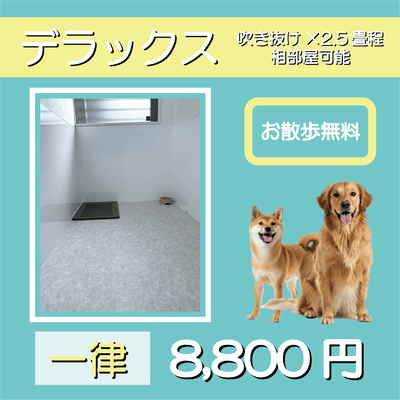 ペットホテル デラックス 吹き抜け2.5畳程 相部屋可能  一律￥8,800 お散歩無料