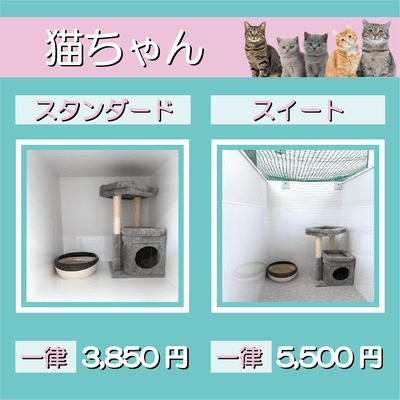 ペットホテル 猫ちゃん スタンダード 一律￥3,850 スイート 一律￥5,500