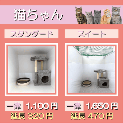 ペットホテル 猫ちゃん スタンダード 一律￥1,100  延長￥320 スイート 一律￥1,650  延長￥470