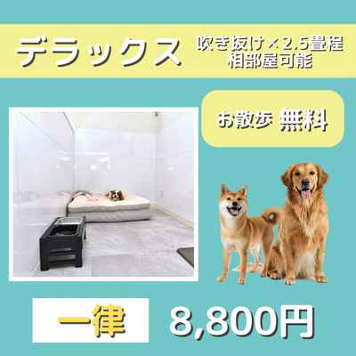 ペットホテル デラックス 吹き抜け2.5畳程 相部屋可能  一律￥8,800 お散歩無料