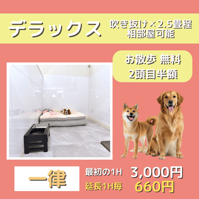 ペットホテル デラックス 吹き抜け2.5畳程 相部屋可能  一律￥3,000 延長￥660 お散歩無料