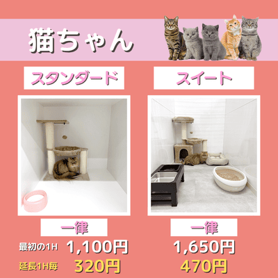 ペットホテル 猫ちゃん スタンダード 一律￥1,100  延長￥320 スイート 一律￥1,650  延長￥470