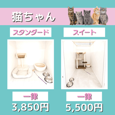 ペットホテル 猫ちゃん スタンダード 一律￥3,850 スイート 一律￥5,500