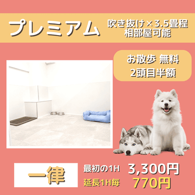 ペットホテル プレミアム 吹き抜け3.5畳程  一律￥3,300 延長￥770 お散歩無料