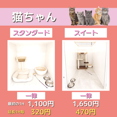ペットホテル 猫ちゃん スタンダード 一律￥1,100  延長￥320 スイート 一律￥1,650  延長￥470