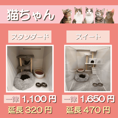 ペットホテル 猫ちゃん スタンダード 一律￥1,100  延長￥320 スイート 一律￥1,650  延長￥470