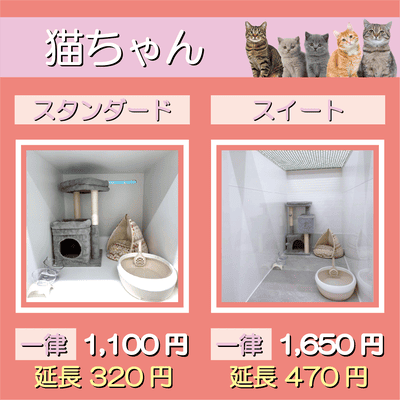 ペットホテル 猫ちゃん スタンダード 一律￥1,100  延長￥320 スイート 一律￥1,650  延長￥470