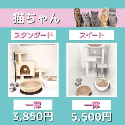 ペットホテル 猫ちゃん スタンダード 一律￥3,850 スイート 一律￥5,500