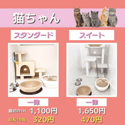 ペットホテル 猫ちゃん スタンダード 一律￥1,100  延長￥320 スイート 一律￥1,650  延長￥470