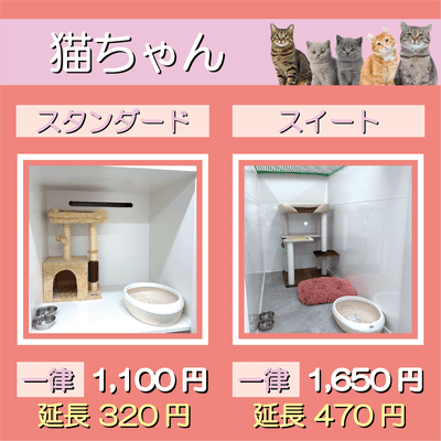 ペットホテル 猫ちゃん スタンダード 一律￥1,100  延長￥320 スイート 一律￥1,650  延長￥470
