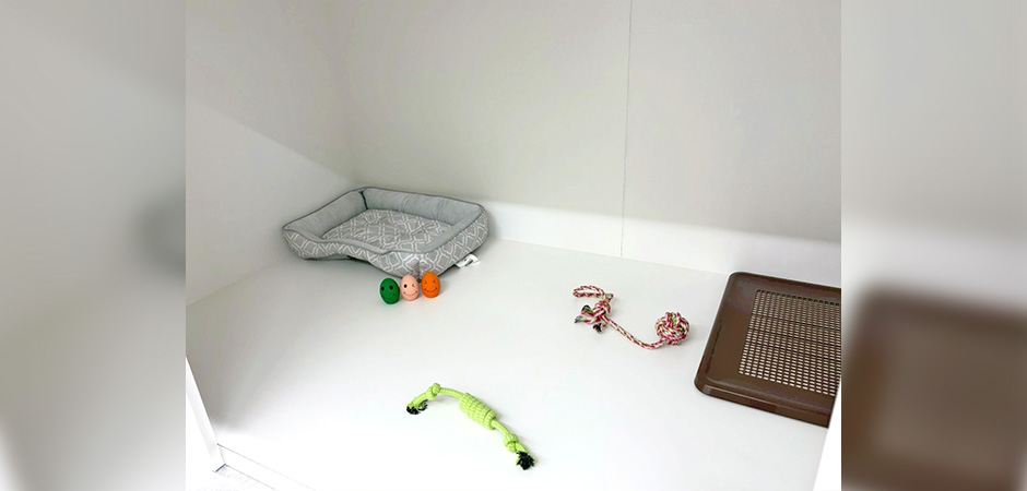 ワンルーク大阪住吉区店のペットホテル