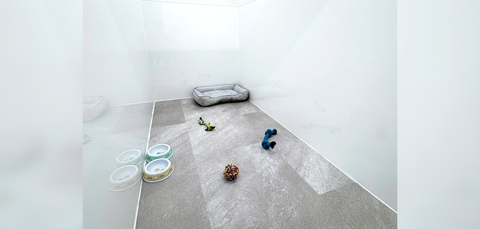 ワンルーク大阪住吉区店のペットホテル