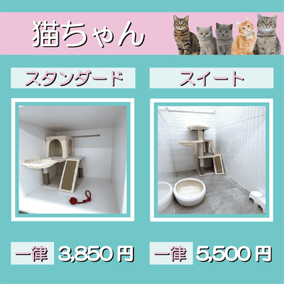 ペットホテル 猫ちゃん スタンダード 一律￥3,850 スイート 一律￥5,500