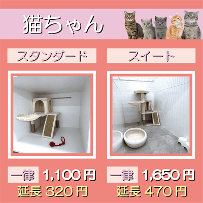 ペットホテル 猫ちゃん スタンダード 一律￥1,100  延長￥320 スイート 一律￥1,650  延長￥470