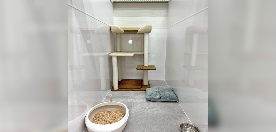 ワンルーク練馬区石神井公園駅店のペットホテル