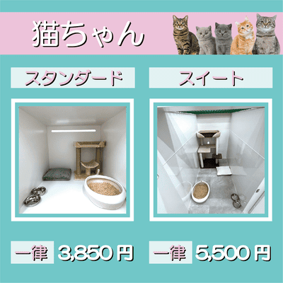 ペットホテル 猫ちゃん スタンダード 一律￥3,850 スイート 一律￥5,500