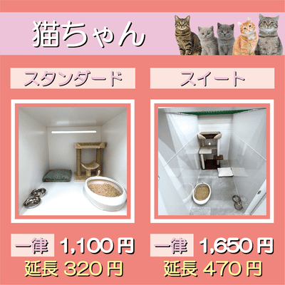 ペットホテル 猫ちゃん スタンダード 一律￥1,100  延長￥320 スイート 一律￥1,650  延長￥470