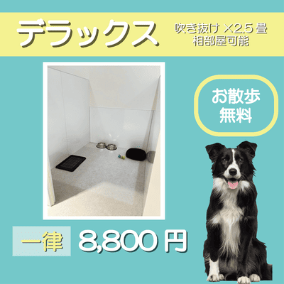ペットホテル デラックス 吹き抜け2.5畳程 相部屋可能  一律￥8,800 お散歩無料