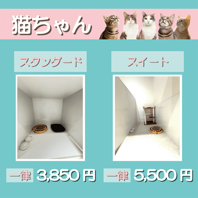 ペットホテル 猫ちゃん スタンダード 一律￥3,850 スイート 一律￥5,500
