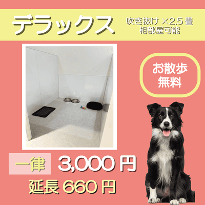 ペットホテル デラックス 吹き抜け2.5畳程 相部屋可能  一律￥3,000 延長￥660 お散歩無料