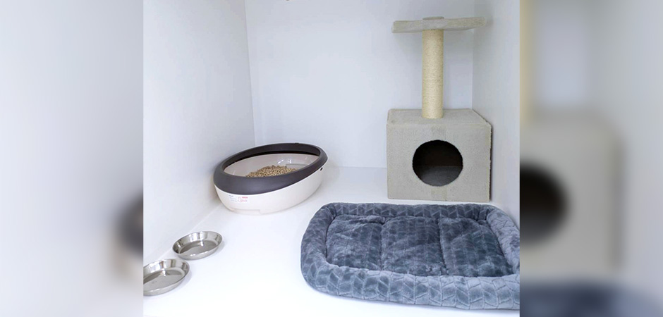 ワンルーク名東区高針店のペットホテル