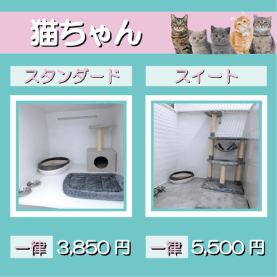 ペットホテル 猫ちゃん スタンダード 一律￥3,850 スイート 一律￥5,500