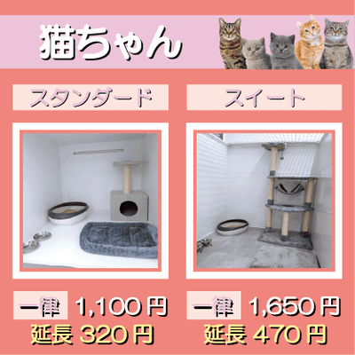 ペットホテル 猫ちゃん スタンダード 一律￥1,100  延長￥320 スイート 一律￥1,650  延長￥470