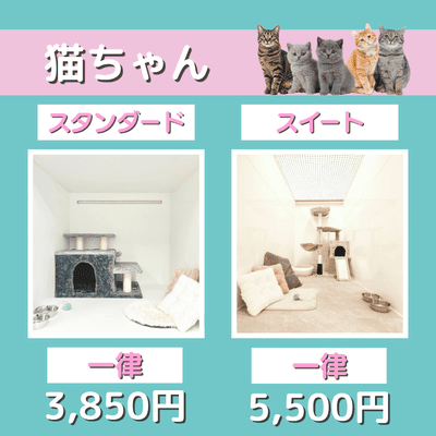 ペットホテル 猫ちゃん スタンダード 一律￥3,850 スイート 一律￥5,500