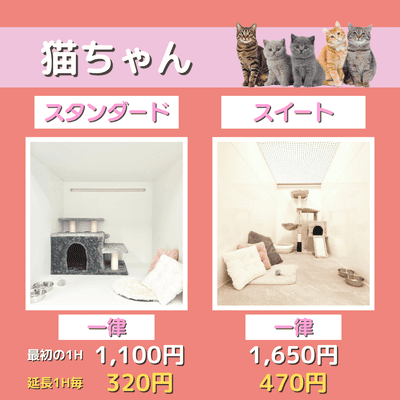 ペットホテル 猫ちゃん スタンダード 一律￥1,100  延長￥320 スイート 一律￥1,650  延長￥470