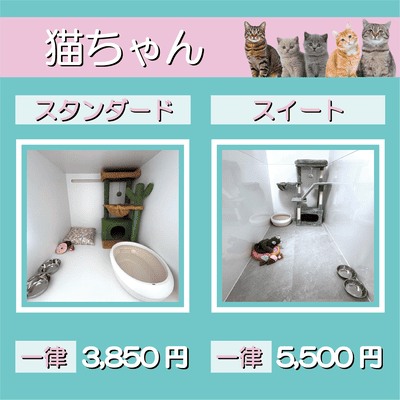 ペットホテル 猫ちゃん スタンダード 一律￥3,850 スイート 一律￥5,500