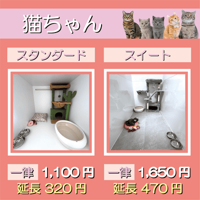ペットホテル 猫ちゃん スタンダード 一律￥1,100  延長￥320 スイート 一律￥1,650  延長￥470