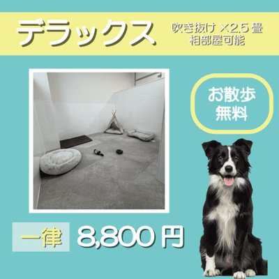ペットホテル デラックス 吹き抜け2.5畳程 相部屋可能  一律￥8,800 お散歩無料