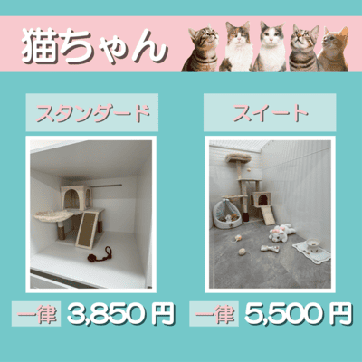 ペットホテル 猫ちゃん スタンダード 一律￥3,850 スイート 一律￥5,500