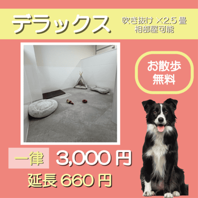 ペットホテル デラックス 吹き抜け2.5畳程 相部屋可能  一律￥3,000 延長￥660 お散歩無料