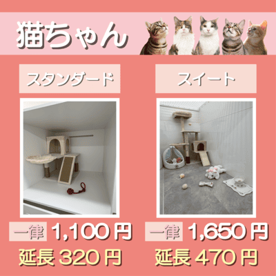ペットホテル 猫ちゃん スタンダード 一律￥1,100  延長￥320 スイート 一律￥1,650  延長￥470