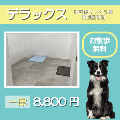 ペットホテル デラックス 吹き抜け2.5畳程 相部屋可能  一律￥8,800 お散歩無料