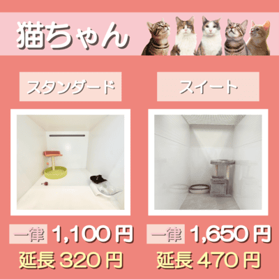 ペットホテル 猫ちゃん スタンダード 一律￥1,100  延長￥320 スイート 一律￥1,650  延長￥470