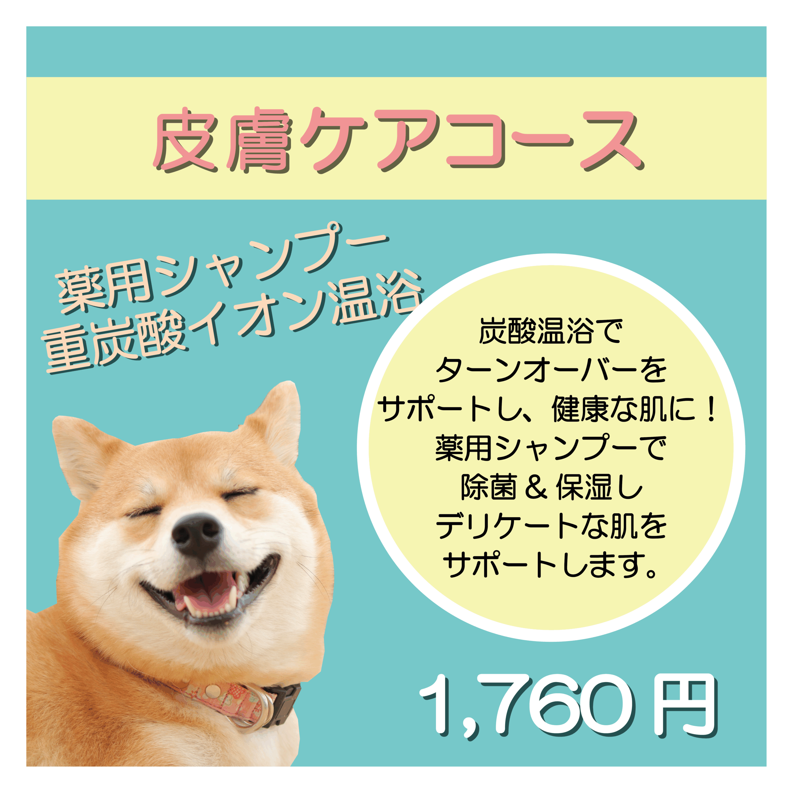 皮膚ケアコース 薬用シャンプー＋炭酸温浴 1,760円