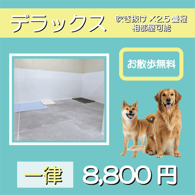 ペットホテル デラックス 吹き抜け2.5畳程 相部屋可能  一律￥8,800 お散歩無料