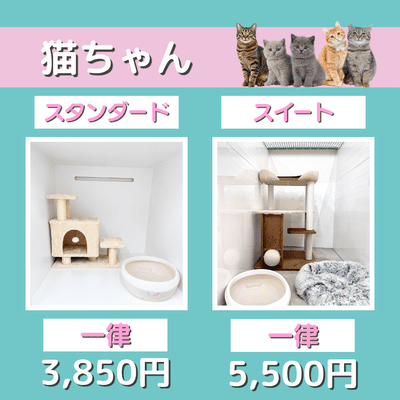 ペットホテル 猫ちゃん スタンダード 一律￥3,850 スイート 一律￥5,500