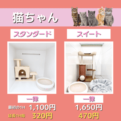 ペットホテル 猫ちゃん スタンダード 一律￥1,100  延長￥320 スイート 一律￥1,650  延長￥470