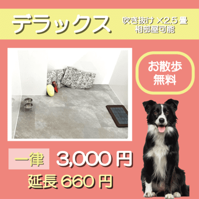 ペットホテル デラックス 吹き抜け2.5畳程 相部屋可能 お散歩無料 一律￥3,300 延長￥660